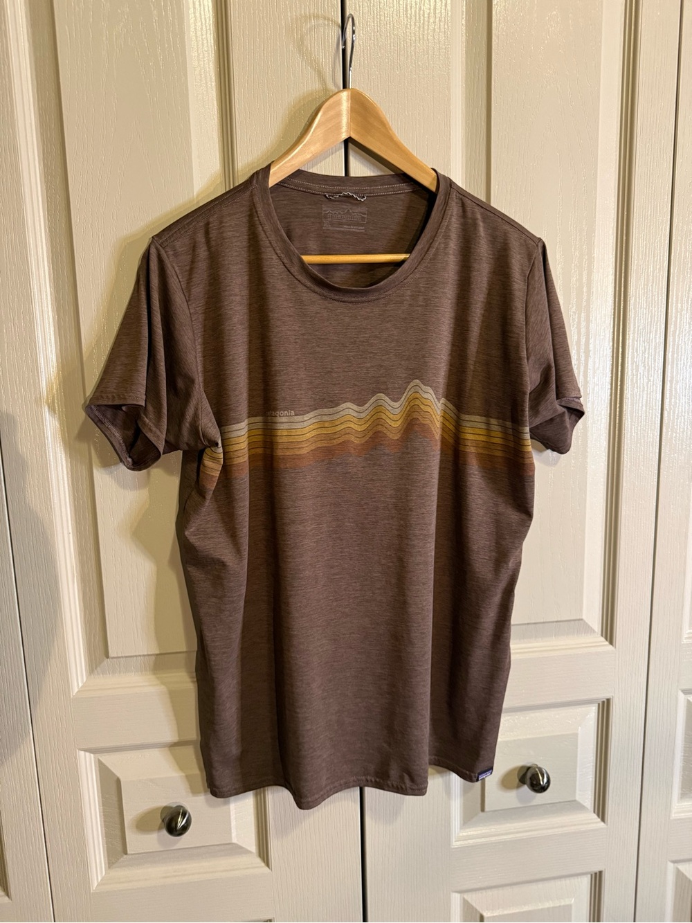Patagonia Women’s Capilene Cool Daily Graphic Tee